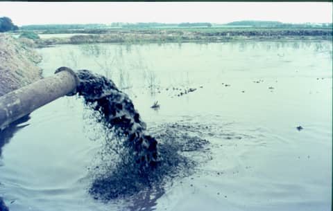 Historische foto van Baggerbedrijf Trip
