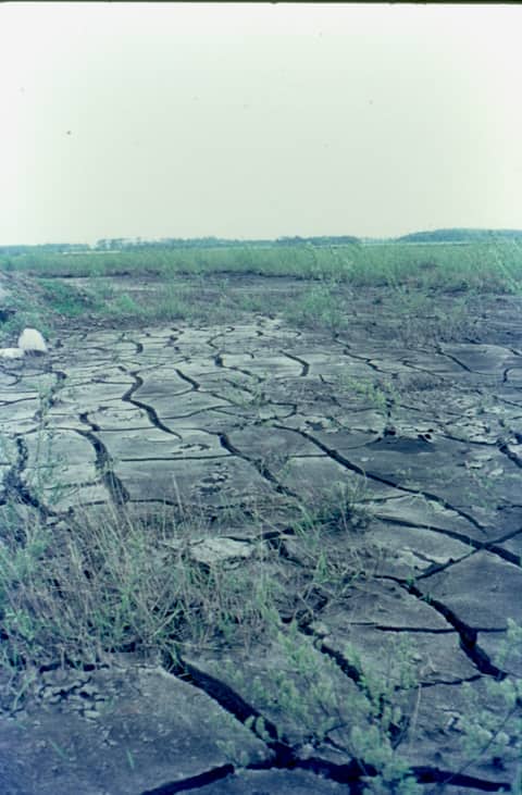 Historische foto van Baggerbedrijf Trip